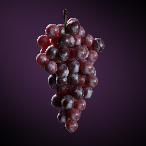 grapes_0000.00_00_00_01.Still001