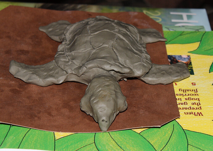 Clay Sea Turtle Sculpt (4)