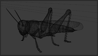 Locust_wireframe