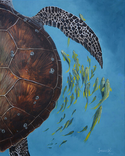 Sea Turtle-1100