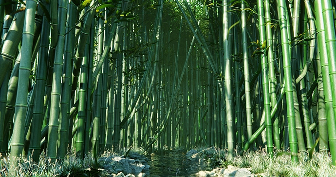 bamboo_forest_00