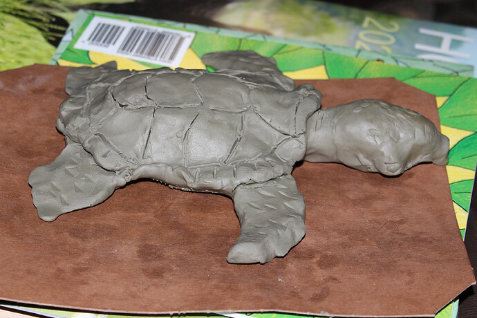 Clay Sea Turtle Sculpt (1)