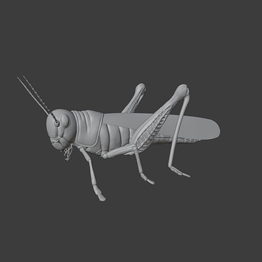 Locust_002