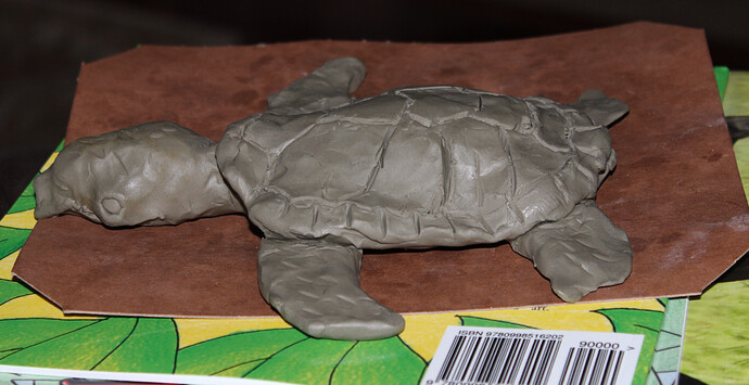 Clay Sea Turtle Sculpt (3)