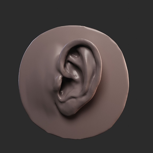 Day - 8 - Ear