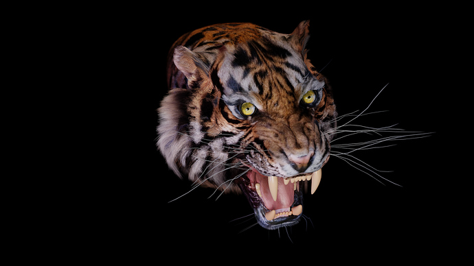 Tiger with eyes, teeth and tongue