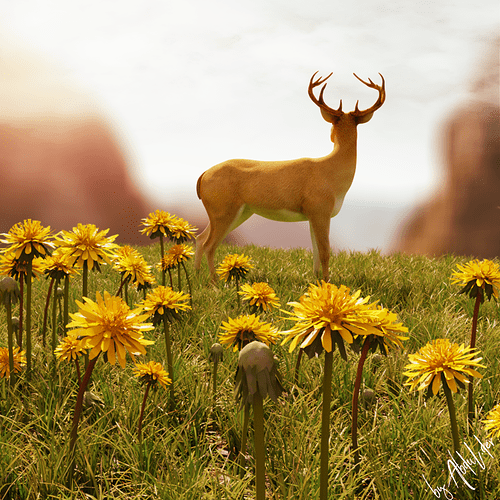 deer-beauty_enhanced