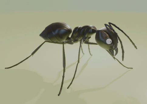 Ant_Walk_Side