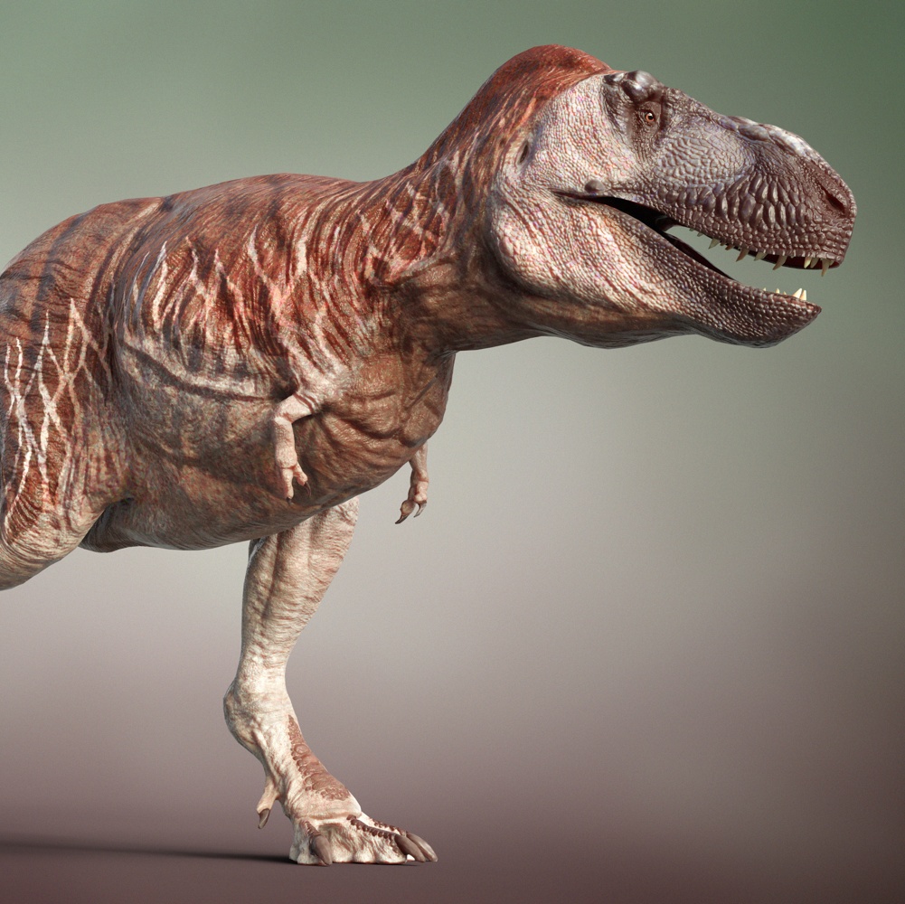 Tyrannosaurus Rex Life Reconstruction - Finished Projects - Blender Artists  Community